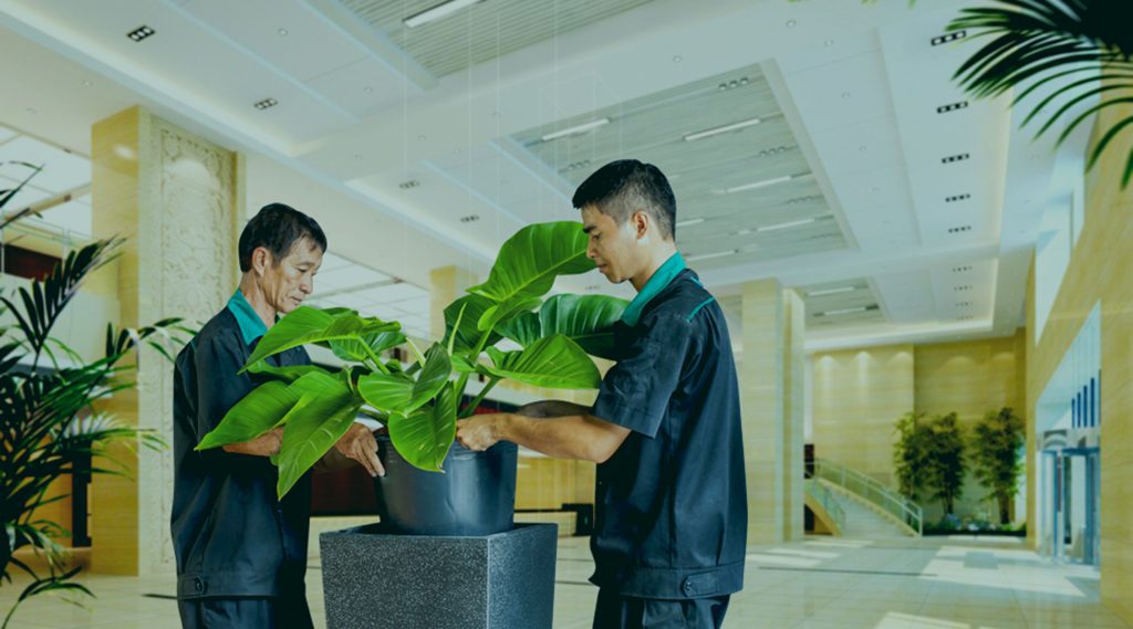 Nhà Xanh | Thiết kế cảnh quan sân vườn | 