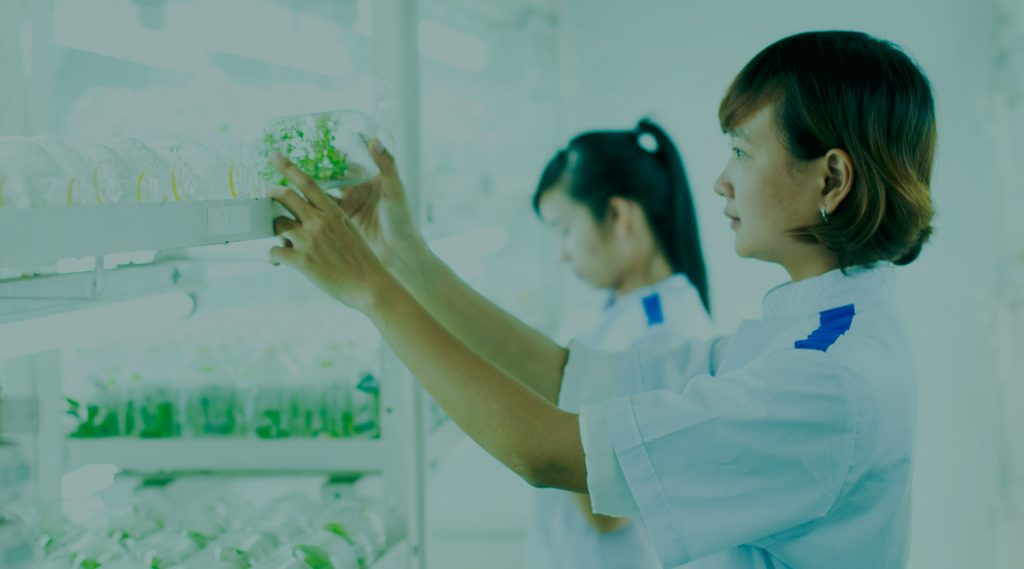 Nhà Xanh | Thiết kế cảnh quan sân vườn | 