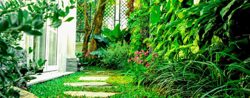 Nhà Xanh | Thiết kế cảnh quan sân vườn | 