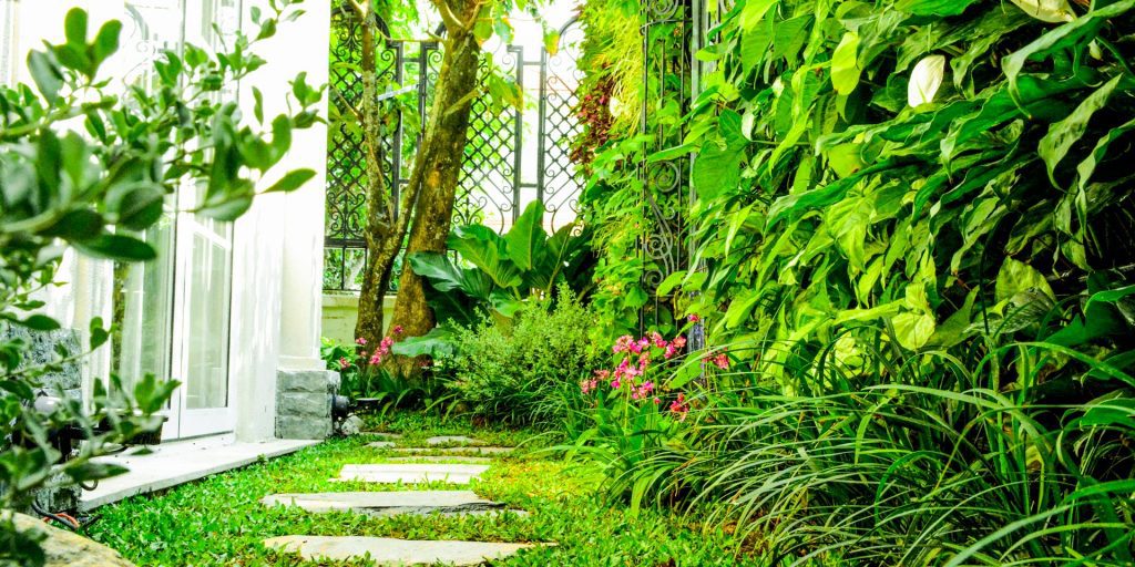 Nhà Xanh | Thiết kế cảnh quan sân vườn | 