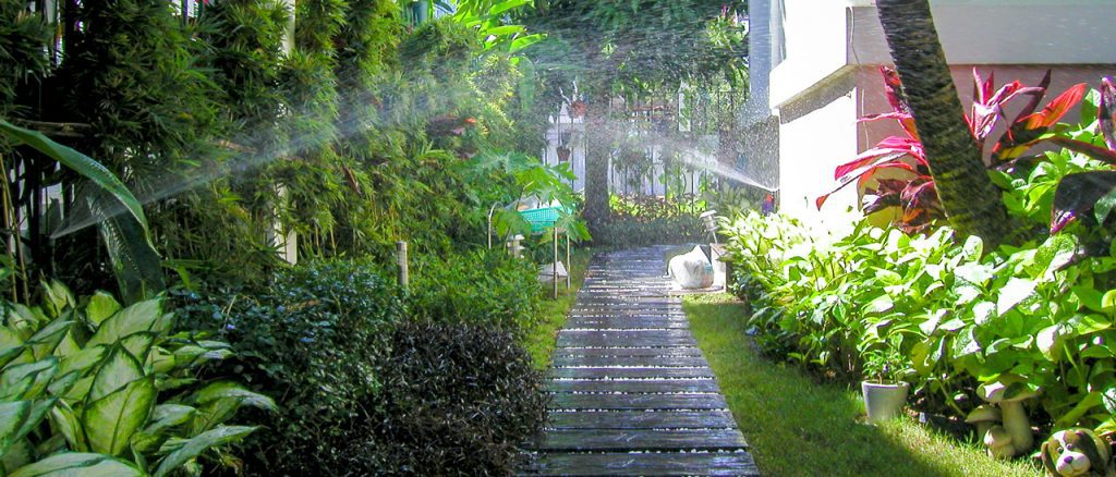 Nhà Xanh | Thiết kế cảnh quan sân vườn | 