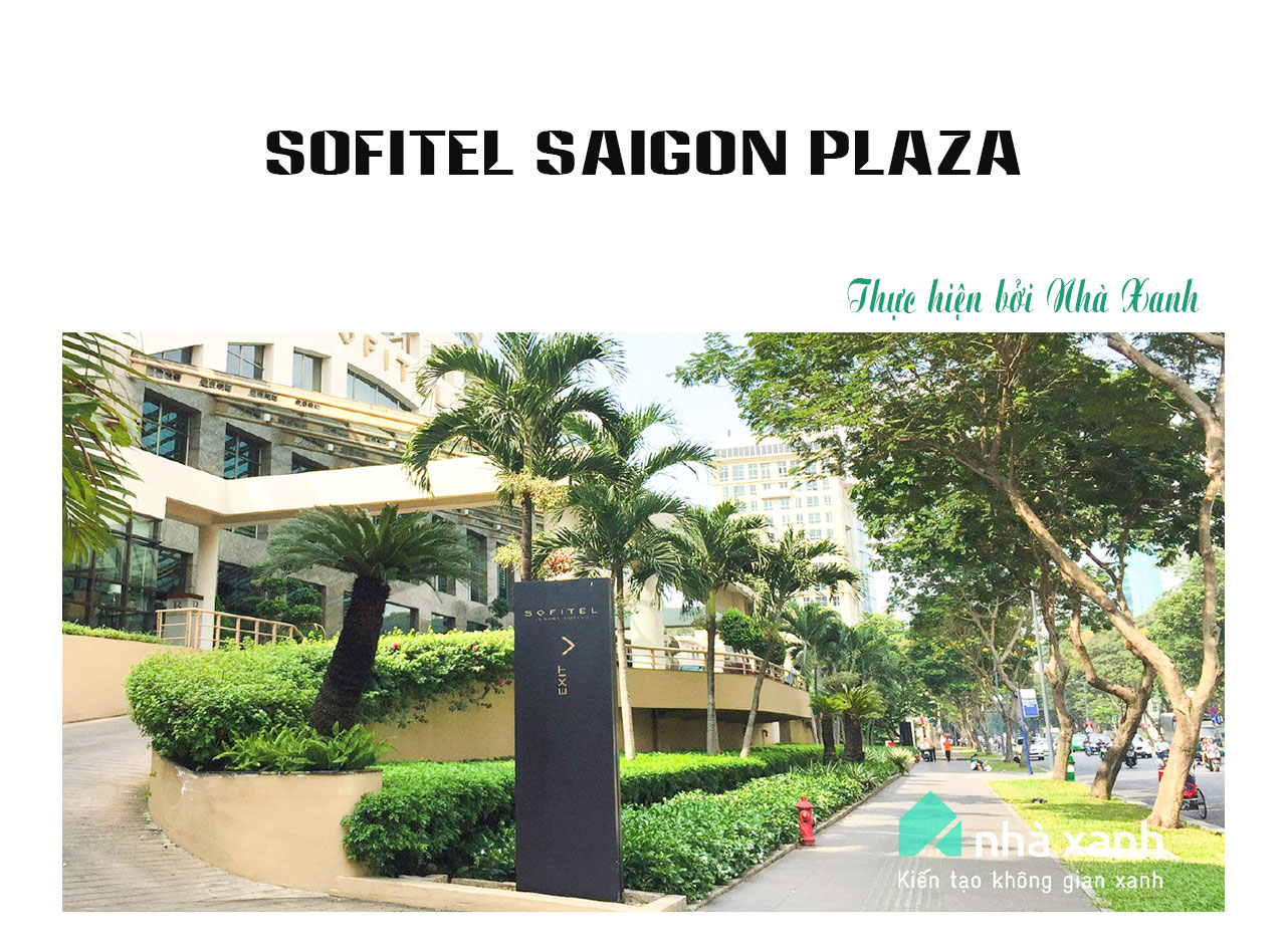 Chăm sóc Sofitel Saigon Plaza