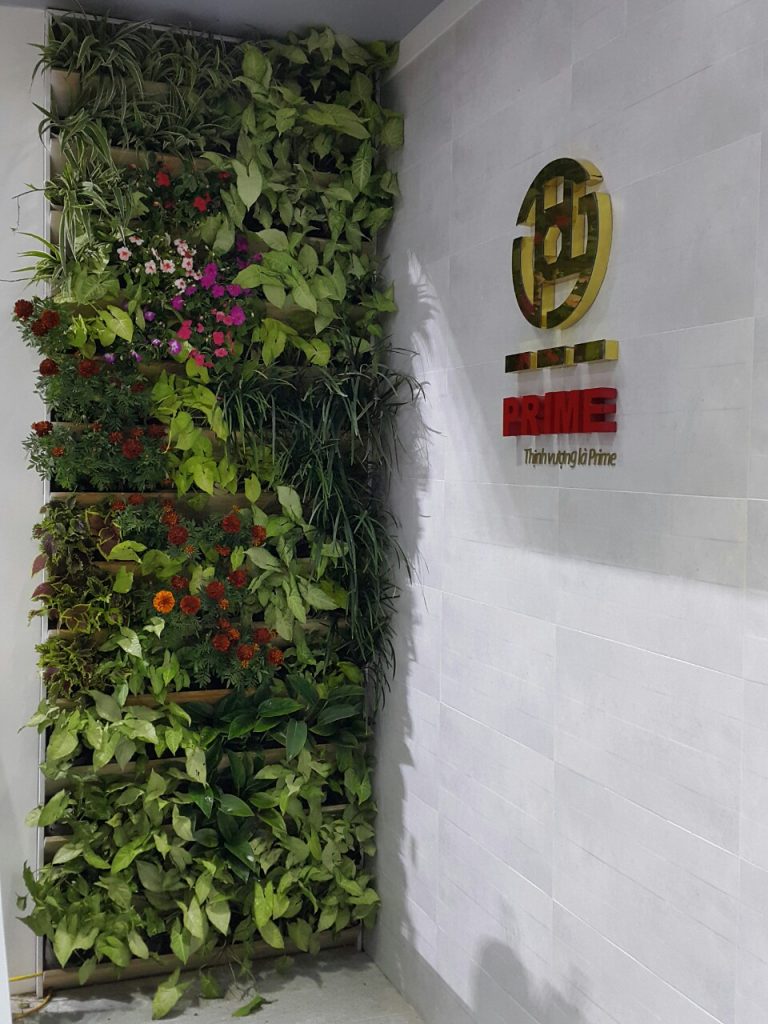 Nhà Xanh | Thiết kế cảnh quan sân vườn | 
