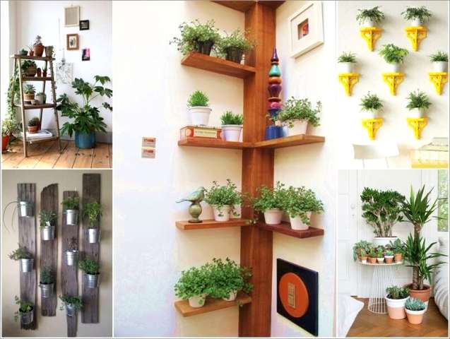Cách trồng cây xanh trong nhà
