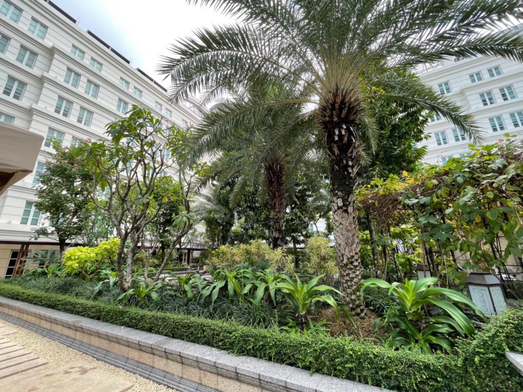 Nhà Xanh | Thiết kế cảnh quan sân vườn | 