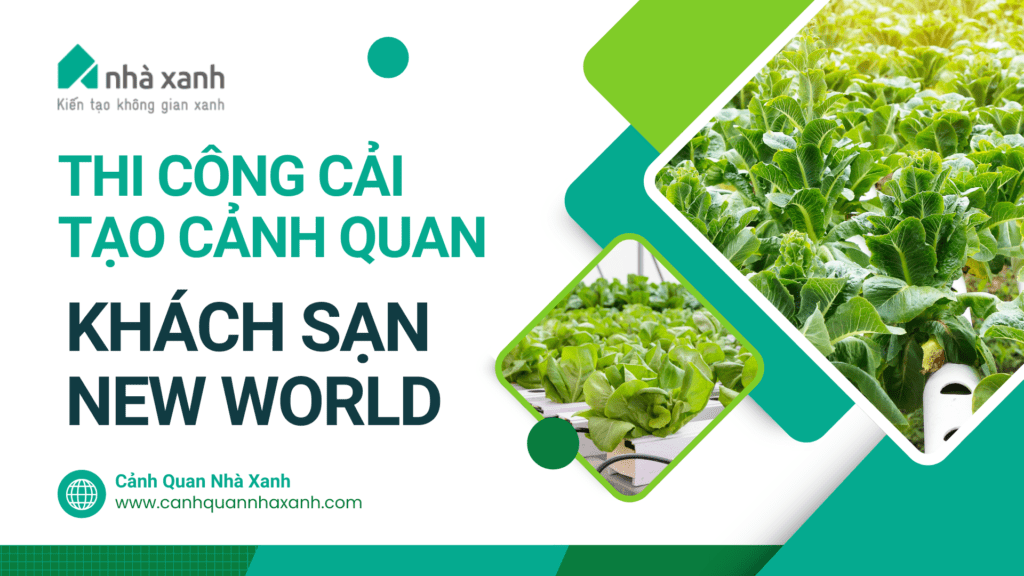 Nhà Xanh | Thiết kế cảnh quan sân vườn | 