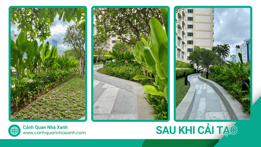 Nhà Xanh | Thiết kế cảnh quan sân vườn | 