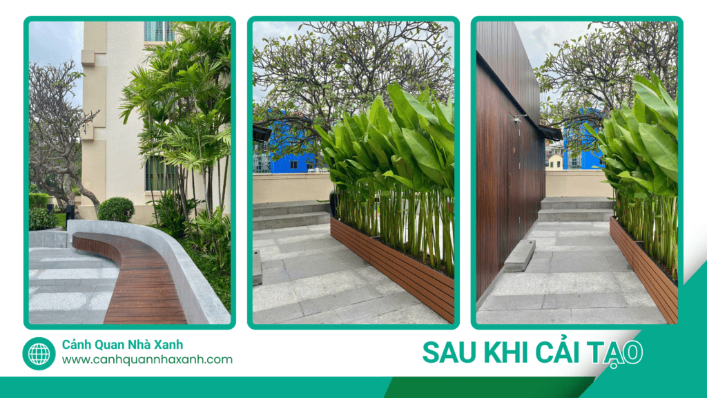 Nhà Xanh | Thiết kế cảnh quan sân vườn | 