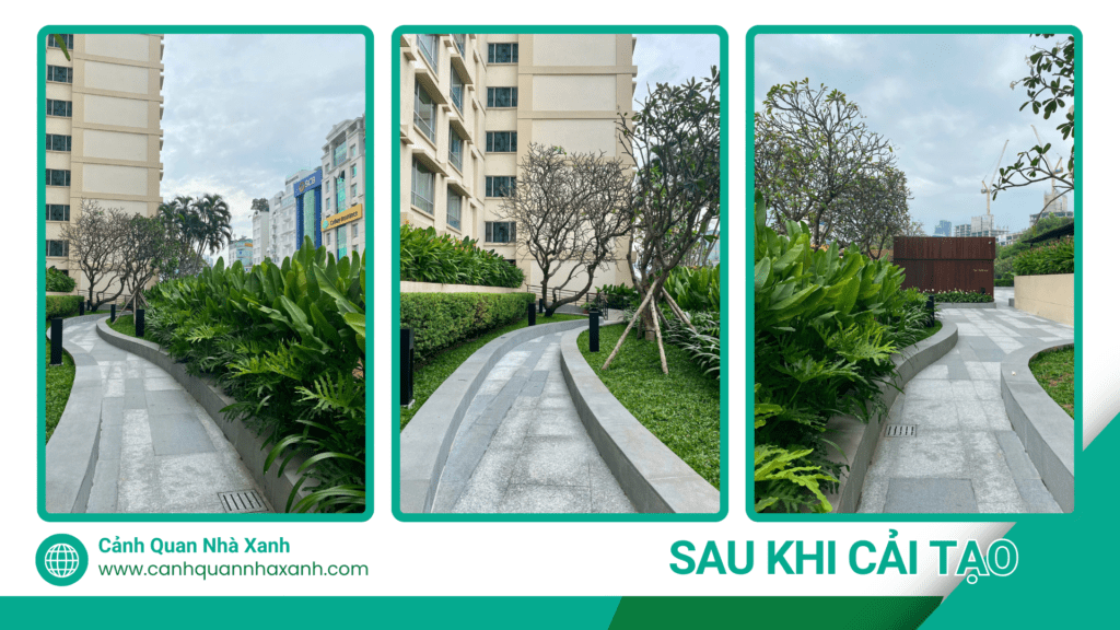Nhà Xanh | Thiết kế cảnh quan sân vườn | 