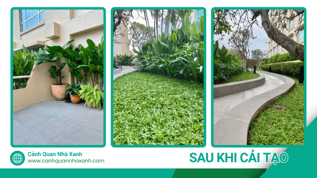 Nhà Xanh | Thiết kế cảnh quan sân vườn | 