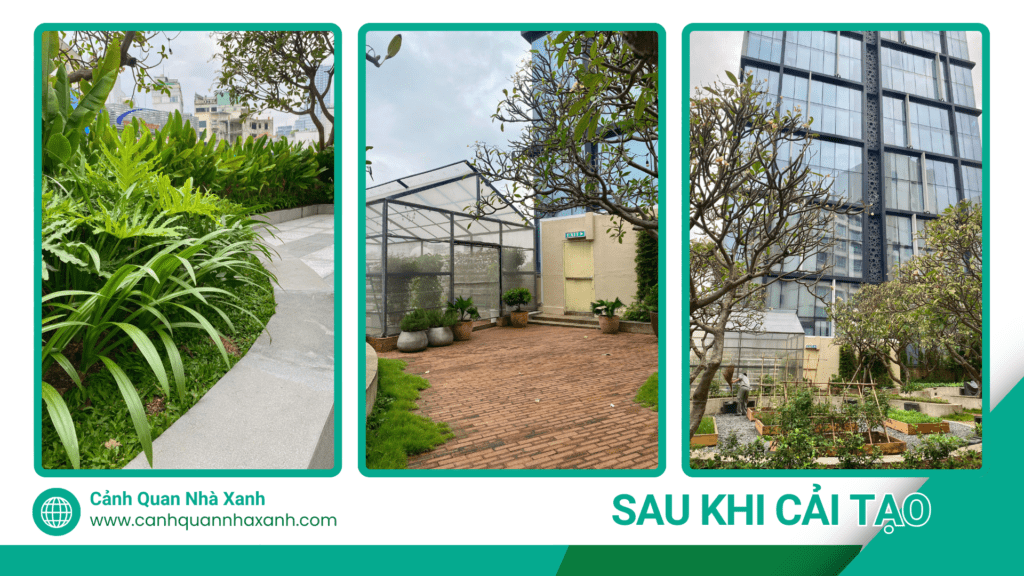 Nhà Xanh | Thiết kế cảnh quan sân vườn | 