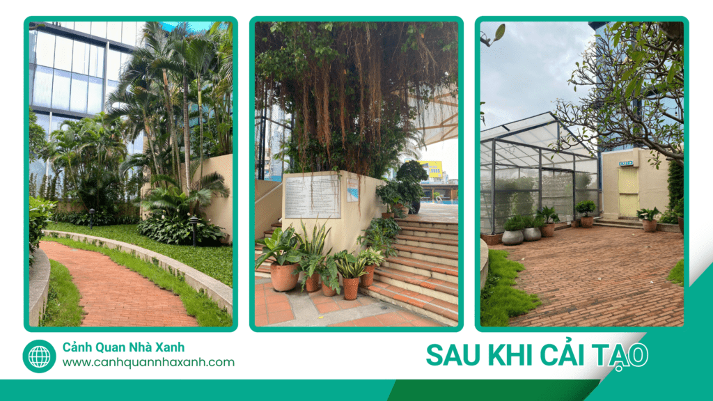 Nhà Xanh | Thiết kế cảnh quan sân vườn | 