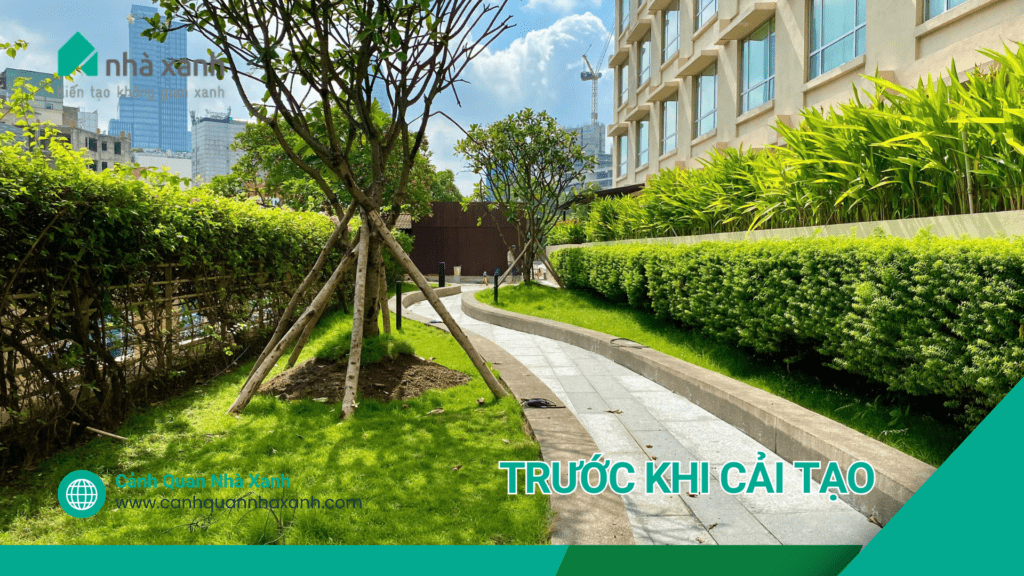 Nhà Xanh | Thiết kế cảnh quan sân vườn | 