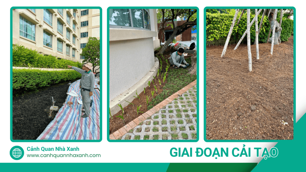 Nhà Xanh | Thiết kế cảnh quan sân vườn | 