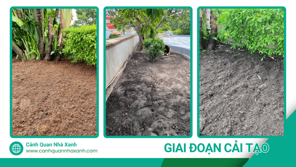Nhà Xanh | Thiết kế cảnh quan sân vườn | 