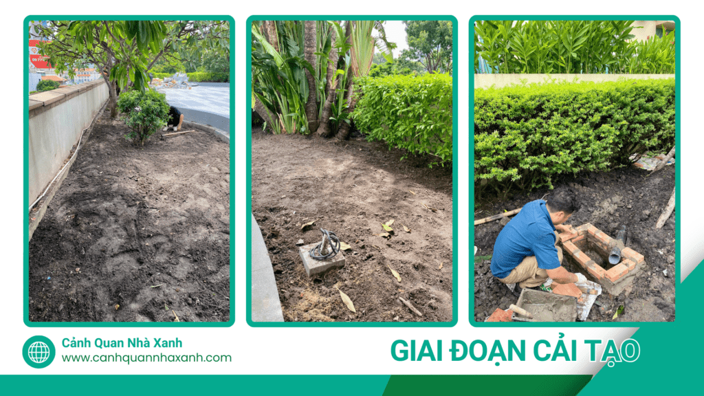 Nhà Xanh | Thiết kế cảnh quan sân vườn | 