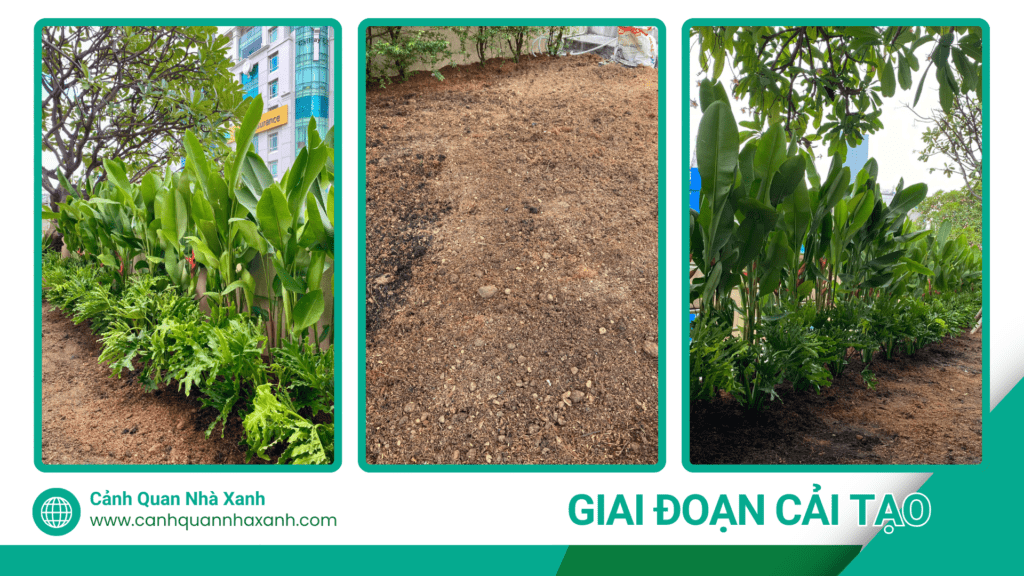 Nhà Xanh | Thiết kế cảnh quan sân vườn | 