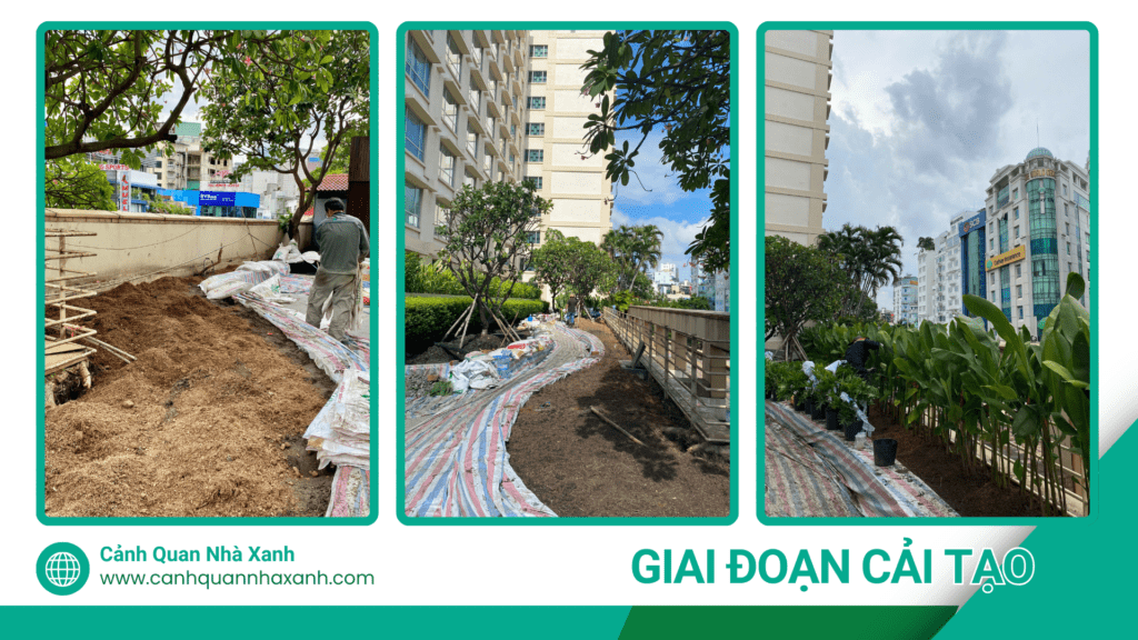 Nhà Xanh | Thiết kế cảnh quan sân vườn | 