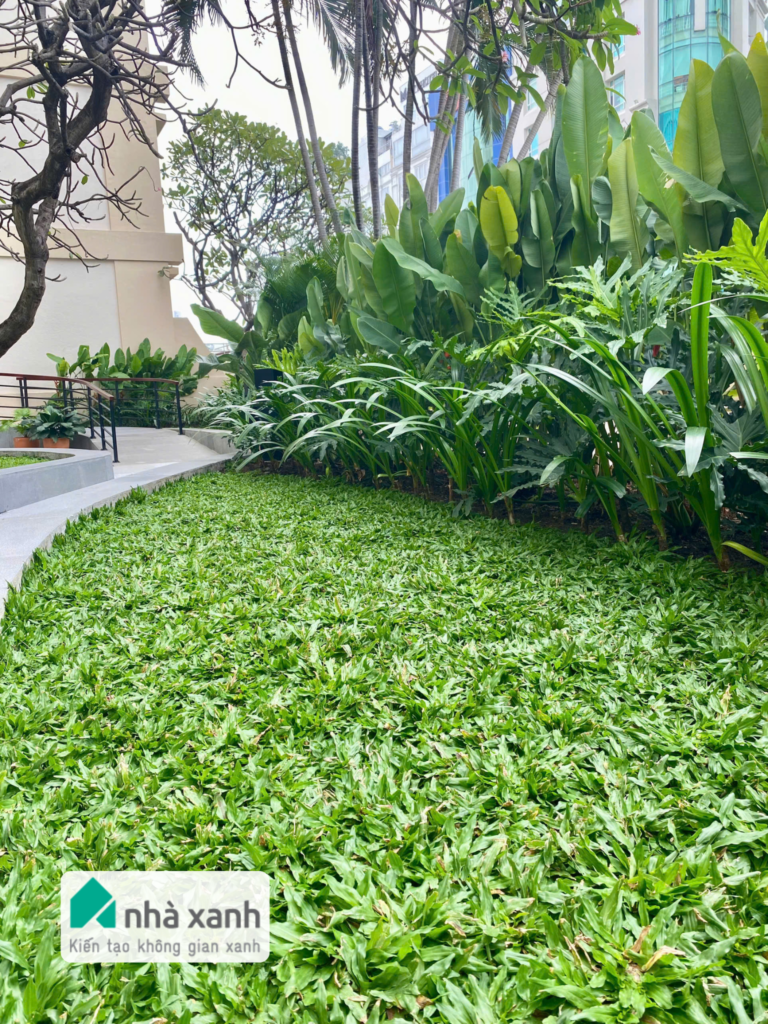 Nhà Xanh | Thiết kế cảnh quan sân vườn | 