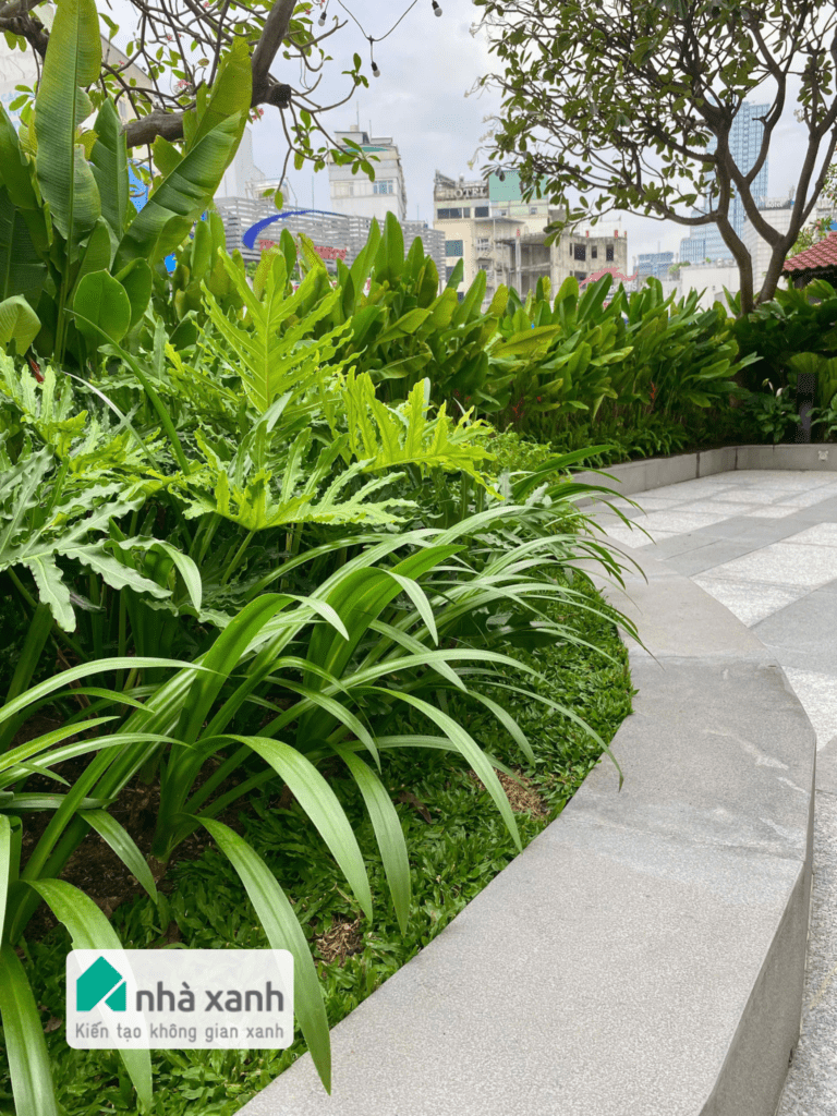 Nhà Xanh | Thiết kế cảnh quan sân vườn | 