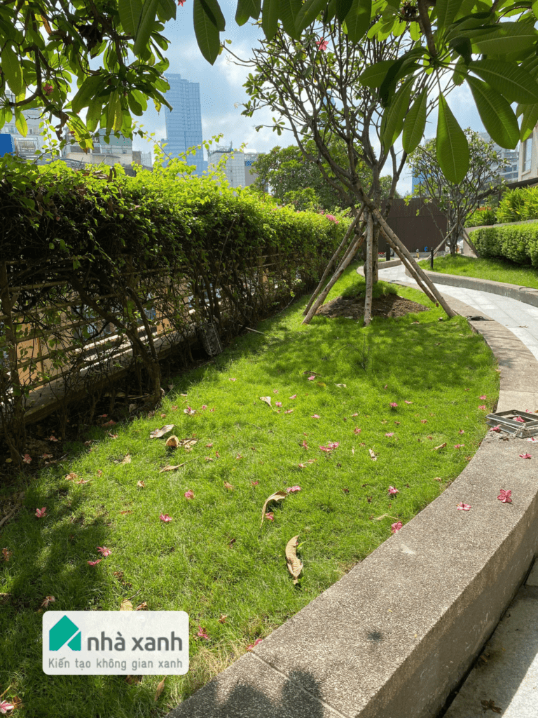 Nhà Xanh | Thiết kế cảnh quan sân vườn | 