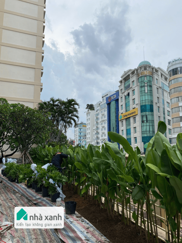 Nhà Xanh | Thiết kế cảnh quan sân vườn | 