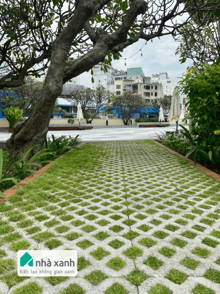 Nhà Xanh | Thiết kế cảnh quan sân vườn | 