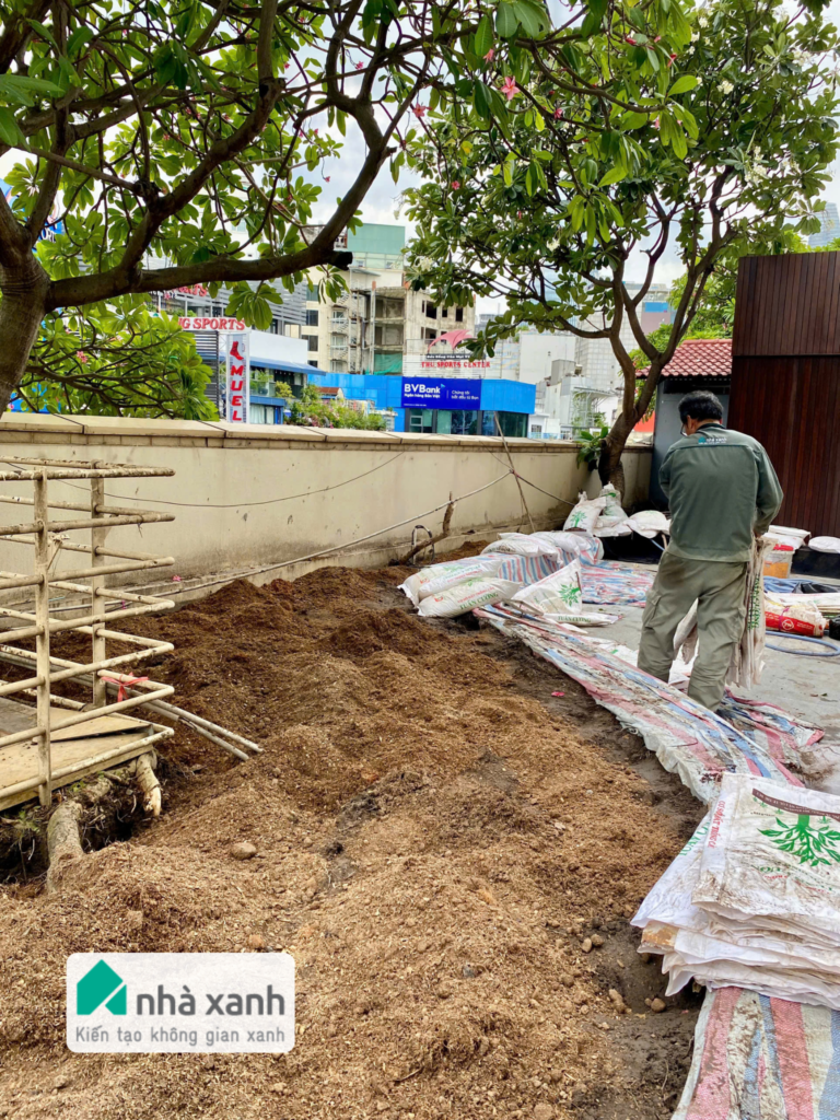 Nhà Xanh | Thiết kế cảnh quan sân vườn | 