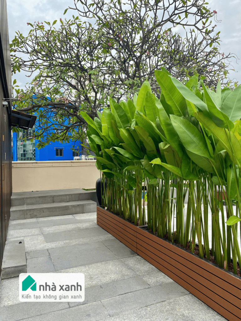 Nhà Xanh | Thiết kế cảnh quan sân vườn | 