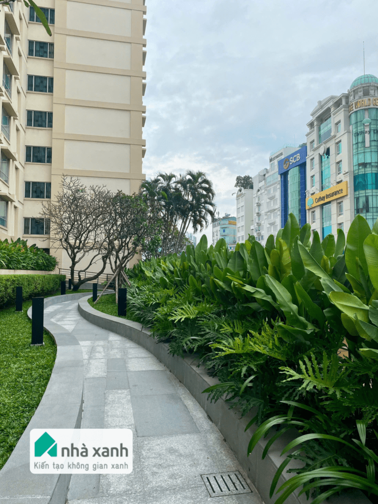 Nhà Xanh | Thiết kế cảnh quan sân vườn | 
