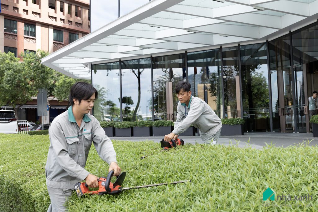 Nhà Xanh | Thiết kế cảnh quan sân vườn | 