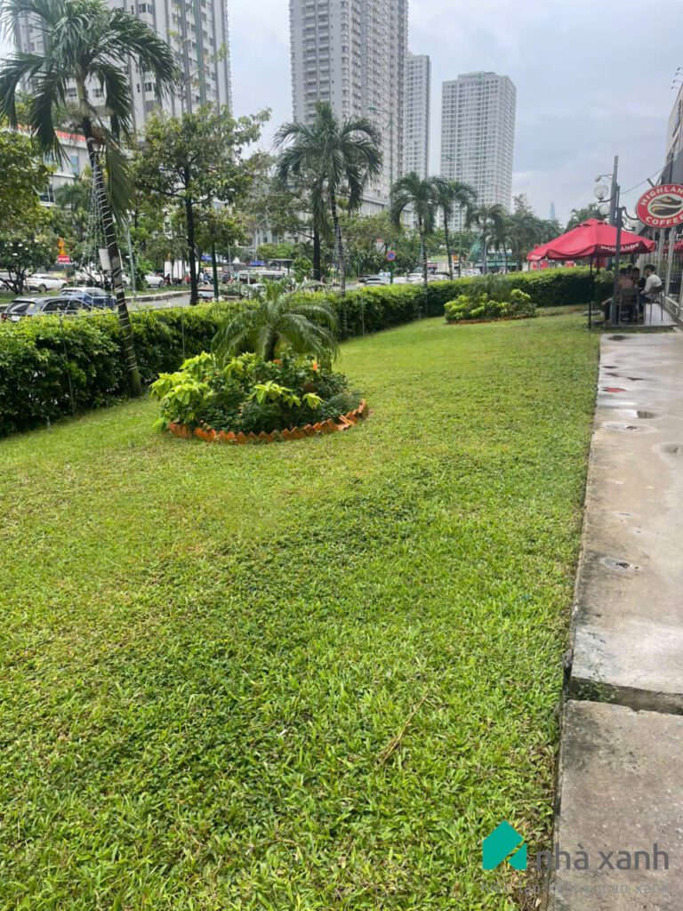 Nhà Xanh | Thiết kế cảnh quan sân vườn | 